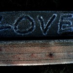 LOVE frost