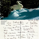 postcard from Leonor Fini -exh.