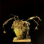 9. dried tulips-80x65 cm